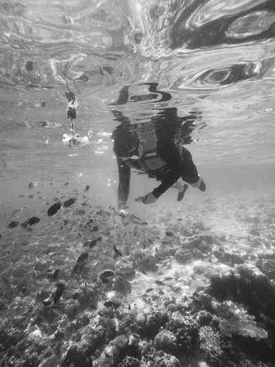 Indonesien - Kanawa Island Resort - Explore Komodo Island : The Real Jurassic Park - 9