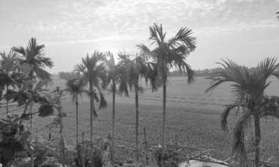 Vietnam - Hội An - Coliving & Coworking Experience in the magical Hoi An - 4