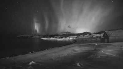 Nordeuropa - Sommarøy - 2024 Tromsø Winter Expedition: Ice Floating in the Arctic 🧊 Whale Spotting 🐋 Reindeers 🦌🛷 Northern Lights 🌌✨ Fjord Roadtrips 🚗 🏔️ - 2