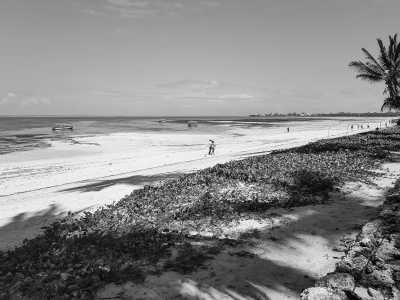 Kenia - Mombasa - Sun-Kissed Serenity: Diani Delight in Magical Mombasa, Kenya! - 3