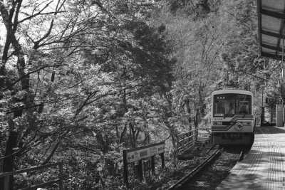 Japan - Kamakura - Autumn in Japan: Kimono Strolls, Mt. Fuji Majesty, Matcha Grinding, Making Food Samples, and Thrift Store Exploration - 2