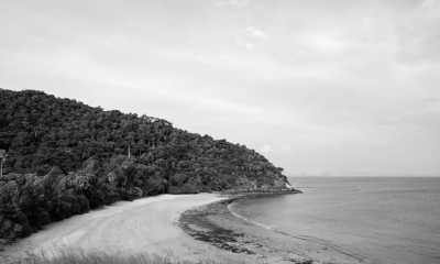 Thailand - Ko Lanta - Unplug in Thailand's Paradise: Devices Less and More Human Interactions☺️❣️with Volunteering, Muay Thai, Diving and Many More (with Private room) - 4