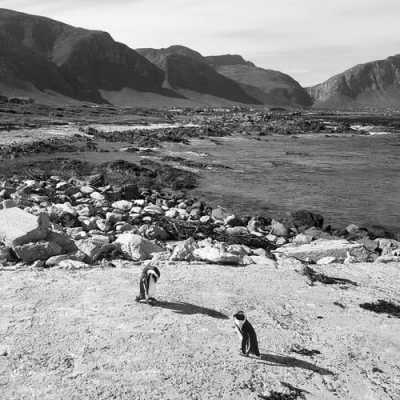 Südafrika - De Hoop Nature Reserve - Explore the best of Cape Town, South Africa - 4
