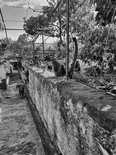 Portugal - Santa Cruz - SOLD OUT SILVESTER Madeira: Mit einer entspannten WG + CoLiving (25-39) und Guiness-Rekordfeuerwerk ins Jahr 2023 - 3