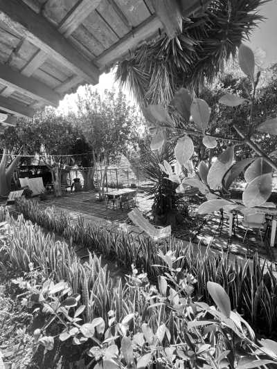 Portugal - Santa Cruz - CoLiving Madeira Santa Cruz, Portugal - Monthly Stays: Why work from home when you can work from paradise? - 9