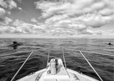 Spain - Yoga Retreat in South Tenerife with FREE island excursions! 🏝️ - JoinMyTrip