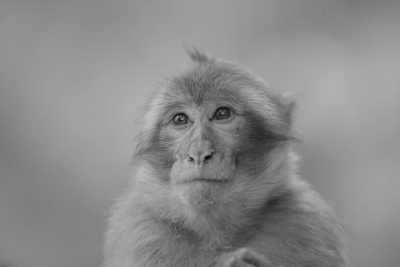 Morocco - Ouzoud Falls - Morocco Exploration Trip With Sahara Desert Camp Included (Shared Room) - 2