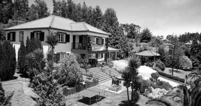 Portugal - Madeira Islands - CoLiving & CoWorking im Paradies Madeira: 4800 qm2 Palmengarten, eigener Schreibtisch, Gym, Game Room, ... - 2