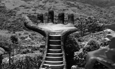 Philippines - Sirao Garden - Experience Cebu: Unleash the Adventure! - 3