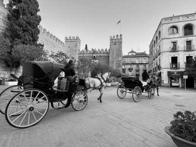 Spain - Seville - The best of Spain's Andalusia in 4 days: architectural beauty, splendid weather and colorful gastronomy! - 3