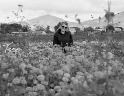 Mexiko - Oaxaca - SOUTH MEXICO WONDERS, DAY OF THE DEAD EDITION - 44