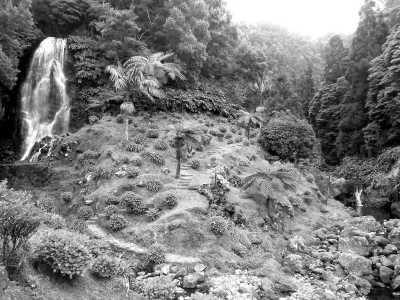 Portugal - Parque Natural da Ribeira dos Caldeirões - AZORES 🚙🐳🏝️: Road Trip in SUV and Whale Watching.