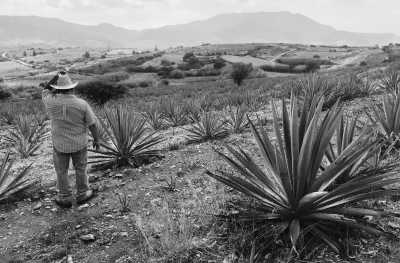 Mexiko - Santiago Matatlan - Experience the REAL Day of the Dead 2023 ☠️ 7-day EPIC trip in Mexico! 🇲🇽 - 4