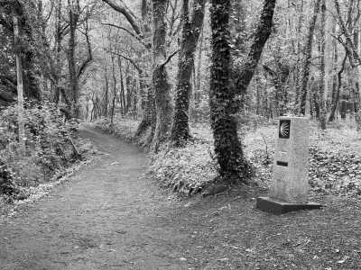 Southern Europe - Casa Rural A Casa de Teo - A Slow and Soulful Walk on the Portuguese Coastal Camino - 1