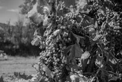 Southern Europe - Bragança - Weekend in a natural and cultural Paradise to North Portugal! - 2