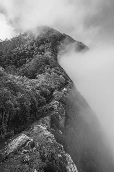 Portugal - Porto da Cruz - Madeira SPECIAL ADVENTURE w/ local guide : A One Of A Kind Hiking Adventure in Madeira: Explore the Island's Trails and Discover Hidden Paths Off the Beaten Track - 3