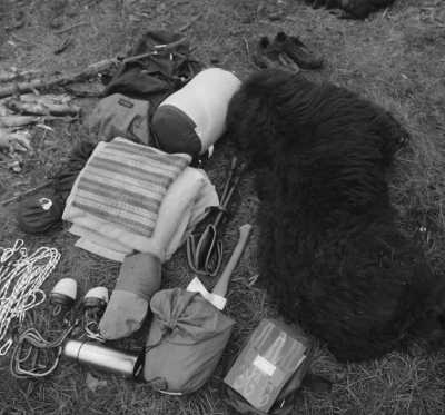 Hungary - Pilisvörösvár - Rural Roadtrip - Winter Hungary - Culture, Nature, Wildlife - Christmas