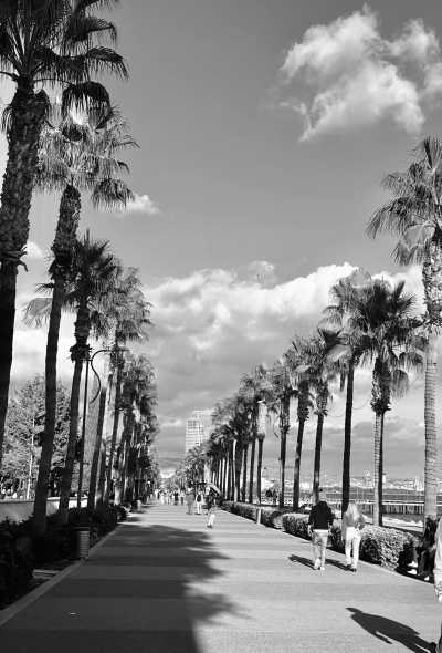 Cyprus - Limassol - Exploring Cyprus in 4 Days: Sunset Cruise, Fireworks, Live Shows, Cheese-Making Workshop, and Water Activities - 7