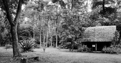 Kenya - Mombasa - Discovering the nature and customs of Kenya, East Africa - 7