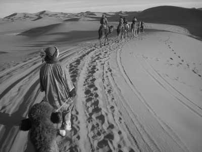 Morocco - Mhamid - 12-Day Sahara Adventure 🐪🌅 Trekking, Discovery & Survival in Morocco