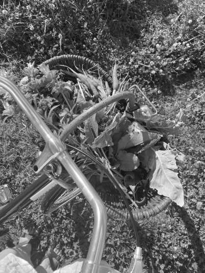 Germany - Berlin - Berlin Culinary Tour: Explore the Best Restaurants, Coffee, Pastries, and More in Germany! - 1