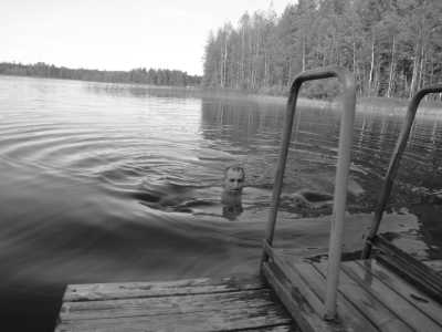 Finnland - Leppävirta - Autumn at Finland's Lakeland and Special Excursion with a Local Guide - 2