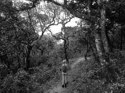 Sri Lanka - Thangappuwa - Exploring Knuckles: Hiking the Hidden Gem of Sri Lanka - 3