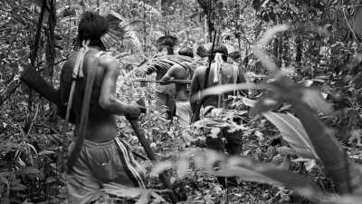 Peru - Amazonas - Ayahuasca in the Peruvian Amazon / The Dunes Peruvian Oasis - Let's Explore the Jungle & Connect with Nature! - 2
