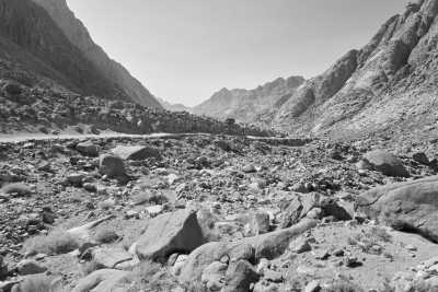 Ägypten - Jabal Mousa - Desert to Sea: A Journey Through Dahab's Hidden Treasures - 1