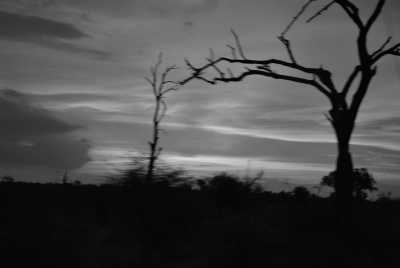 South Africa - Karoo Gariep Nature Reserve - Südafrika: das Kap, der Wein, die große und kleine Karoo, Gardenroute, garantierte Durchführung - 3