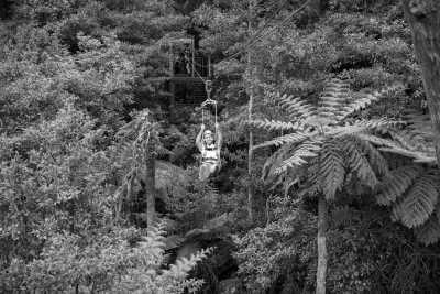 Australia - Illawarra Fly Treetop Adventures - Immerse in Wollongong's Laid-Back Lifestyle and Stunning Scenery in Australia