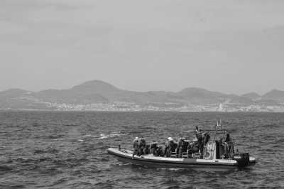 Portugal - Ponta Delgada - Azores Ocean Expedition - whale and dolphin watching, the twin lakes and thermal baths