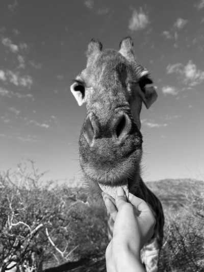 Namibia - Sesriem - Namibia : Road Trip Safari Adventure - 3