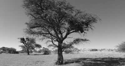 Subsahara-Afrika - Mariental - Simbabwe - Sambia - Namibia