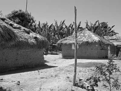 Colombia - Pueblo Bello - Colombia Guided Trip: Nabusimake,  Sierra Nevada de Santa Marta Trekking in a Coffe Finca of a Mamo Elois - 6