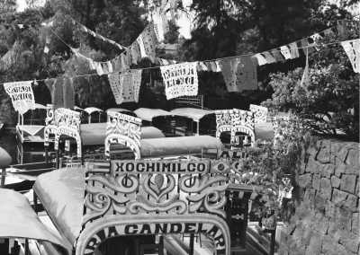 Mexico - Mexico City - Getting around Mexico Cities: 9 Days Photo Tour - 1