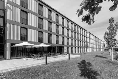 Deutschland - Dachau - Entdecke das Oktoberfest in München mit einem Einheimischen! 🇩🇪🍺🥨 - 1