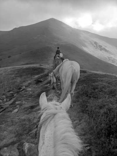 Romania - Crinț - Outdoor Adventure in Romania with Horses - 2