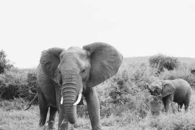 South Africa - Cape Town and the Garden Route 🇿🇦 Explore South Africa with a Local - JoinMyTrip