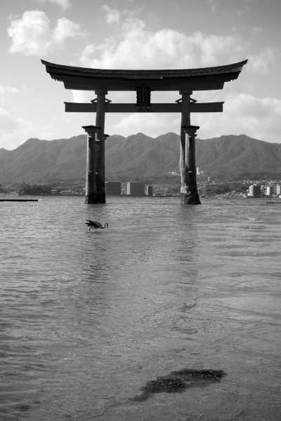 Japan - Hiroshima - Rising Sun Odyssey: Exploring Japan's Timeless Charms 🎋 Tokyo🗼Fuji 🗻 Kyoto 🎎 Nara 🦌 Osaka 🏯 Hiroshima - 2