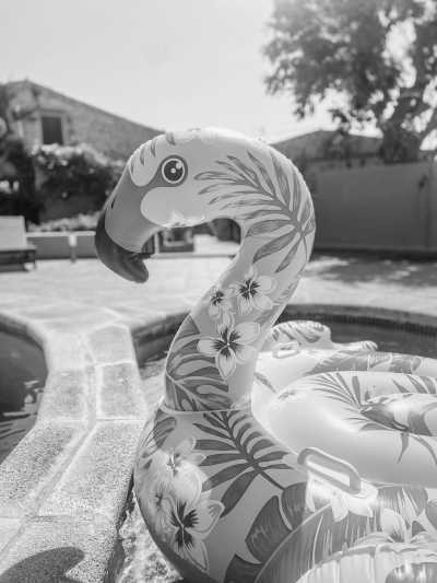 Spain - Cas Concos des Cavaller - Finca CoLiving / CoWorking / Yoga auf Mallorca im September - 1