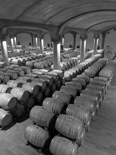 Italy - Marsala - Explore the West Coast of Sicily | Gastronomy & Rural Regeneration with a Local - 13