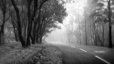 India - Ponmudi - Travel Like A Local Discovering The Offbeat Gems Of Kerala, India - 2