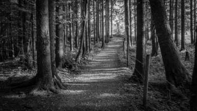 Germany - Jachenau Wasserfall - Herzogstand - Heimgarten Ridge | A Magical Experience | Walkshop Light | German Alps | - 14
