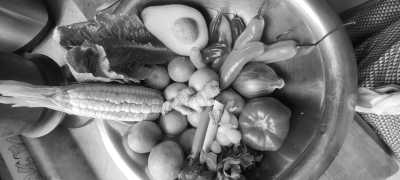 Peru - Lima - LIMA - CoWork Program 2 Weeks -  Food Capital of Southamerica -  Local tours and Experiences Included - 6