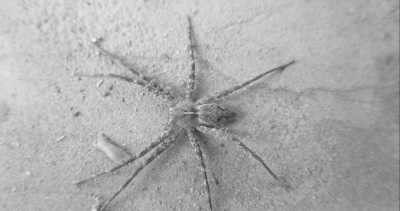 Western Africa - Buniadu - Abenteuerreise nach Afrika - Gambia 😊 - 2