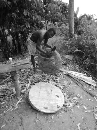 Madagascar - Antananarivo - Enchanting Madagascar: A Journey through Nature's Wonderland 🌍