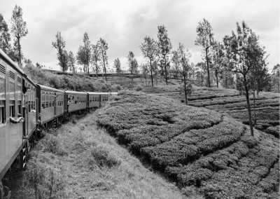 Sri Lanka - Ella - Exploring Sri Lanka in 2 Weeks! - 1