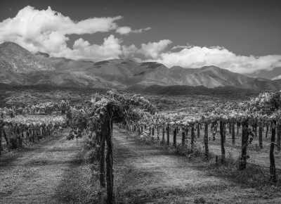 Argentinien - Argentina's Heart: Spanish & Wine in Mendoza, Explore Vineyards, Parks, and Hot Springs! - JoinMyTrip