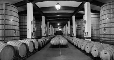 Portugal - Enoteca - Quinta da Avessada - Discovering Douro Valley Gems - The wines, Salling, Gastronomy and Nature - 6